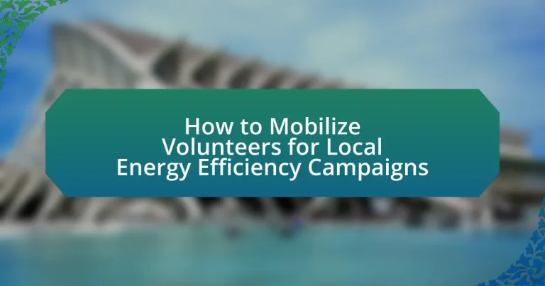 How to Mobilize Volunteers for Local Energy Efficiency Campaigns
