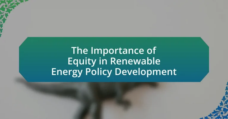 The Importance of Equity in Renewable Energy Policy Development
