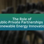 The Role of Public-Private Partnerships in Renewable Energy Innovation