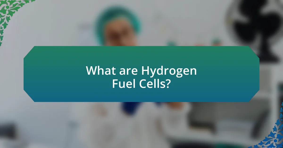 What are Hydrogen Fuel Cells?