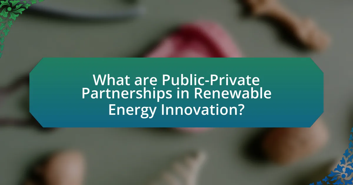 What are Public-Private Partnerships in Renewable Energy Innovation?