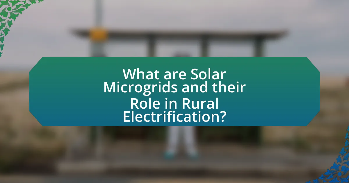 What are Solar Microgrids and their Role in Rural Electrification?