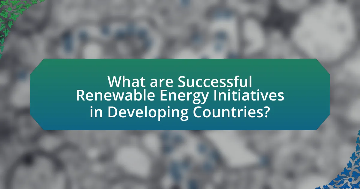 What are Successful Renewable Energy Initiatives in Developing Countries?