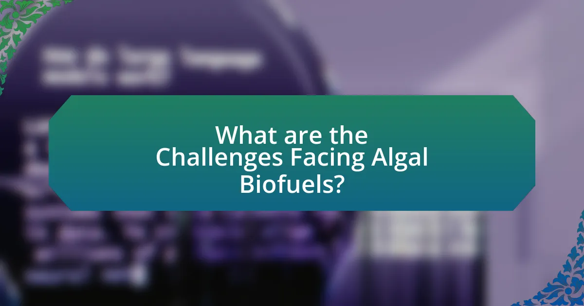 What are the Challenges Facing Algal Biofuels?