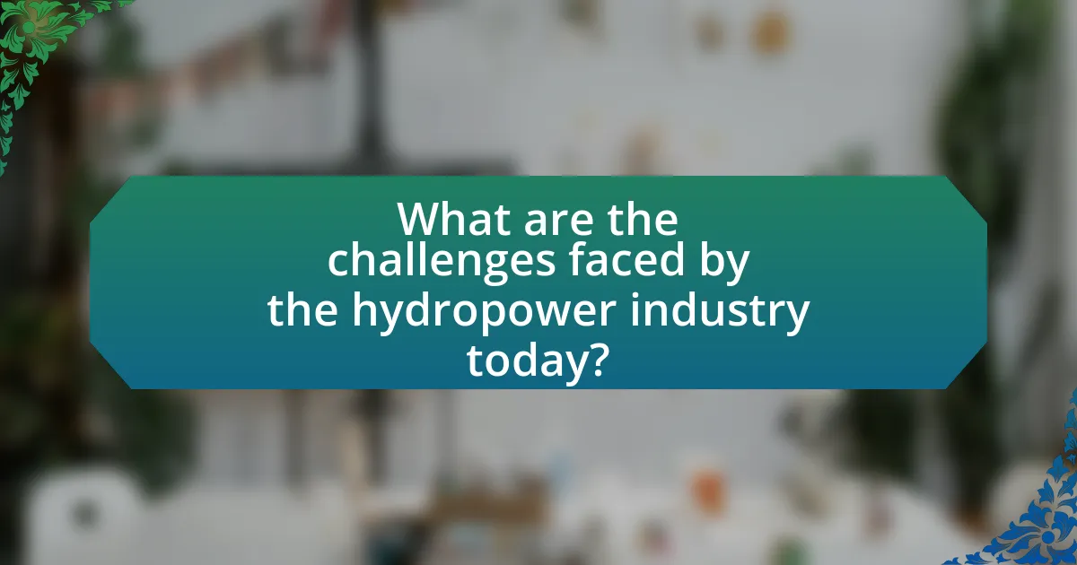What are the challenges faced by the hydropower industry today?