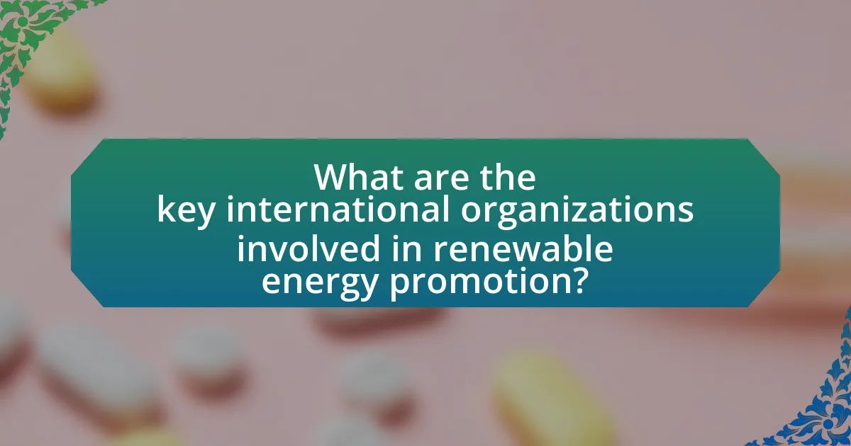 What are the key international organizations involved in renewable energy promotion?
